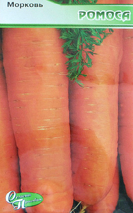 Как повысить урожайность моркови