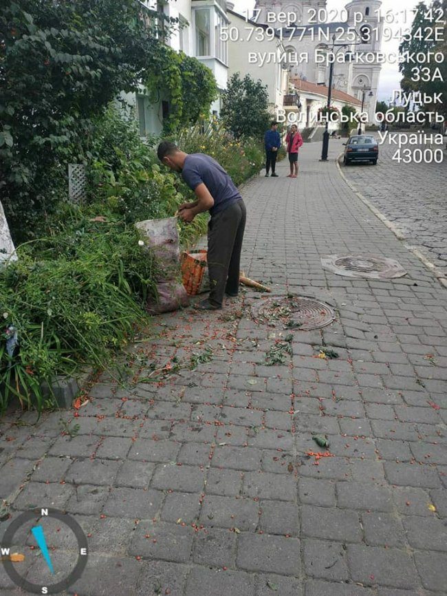 У Луцьку муніципали зловили ромів, які рвали горобину, ламаючи дерева. ФОТО