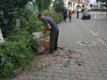 У Луцьку муніципали зловили ромів, які рвали горобину, ламаючи дерева. ФОТО