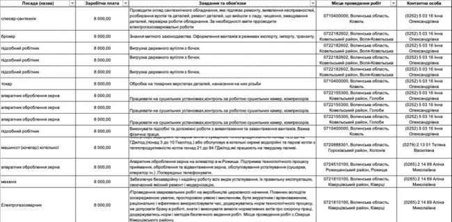 Де, скільки та за що на Волині готові платити від 8-ми до 30-ти тисяч гривень в місяць: ТОП вакансії 