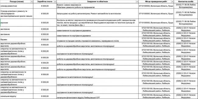 Де, скільки та за що на Волині готові платити від 8-ми до 30-ти тисяч гривень в місяць: ТОП вакансії 