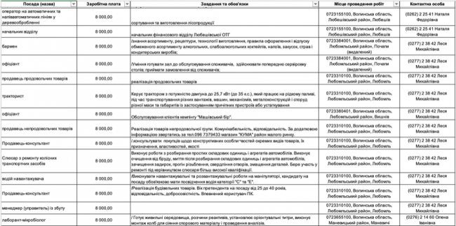 Де, скільки та за що на Волині готові платити від 8-ми до 30-ти тисяч гривень в місяць: ТОП вакансії 