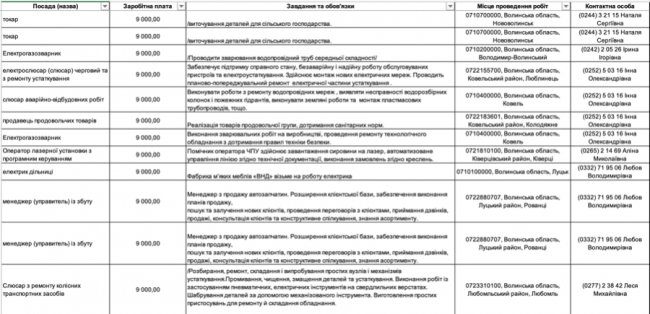 Де, скільки та за що на Волині готові платити від 8-ми до 30-ти тисяч гривень в місяць: ТОП вакансії 