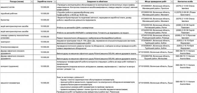 Де, скільки та за що на Волині готові платити від 8-ми до 30-ти тисяч гривень в місяць: ТОП вакансії 