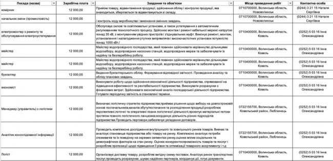 Де, скільки та за що на Волині готові платити від 8-ми до 30-ти тисяч гривень в місяць: ТОП вакансії 