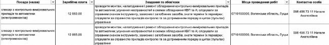 Де, скільки та за що на Волині готові платити від 8-ми до 30-ти тисяч гривень в місяць: ТОП вакансії 